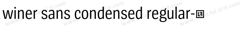 winer sans condensed regular字体转换